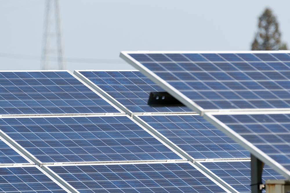 Step 2: Assess Shading, Orientation, and Sunlight Exposure